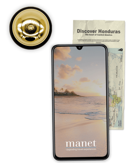 Manet Newsletter Popup